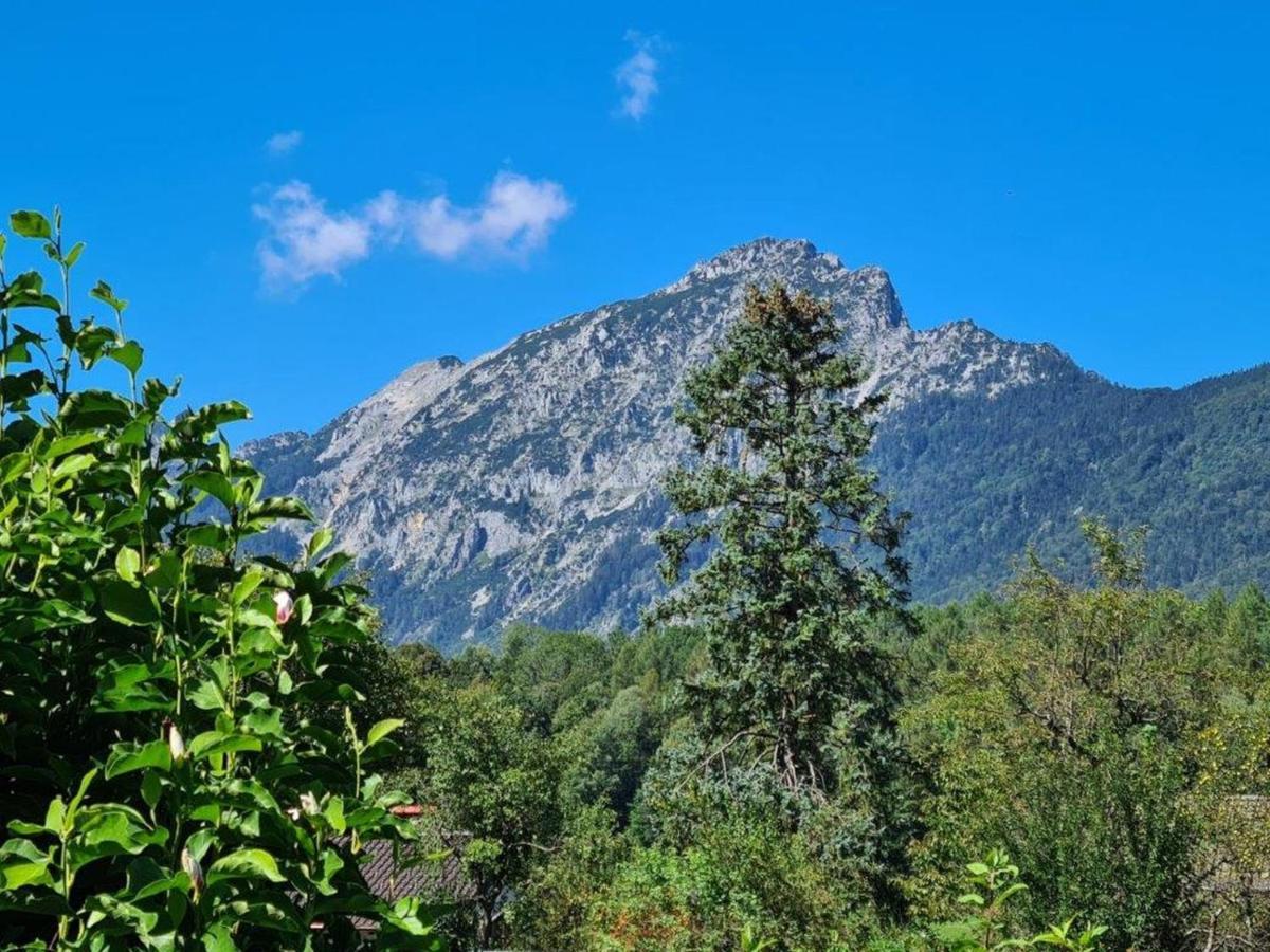 Ferienwohnungen Sommer Bayerisch Gmain Extérieur photo